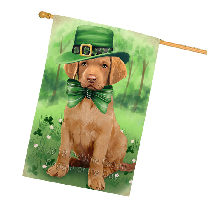 St. Patricks Day Irish Portrait Chesapeake Bay Retriever Dog House Flag FLG48738