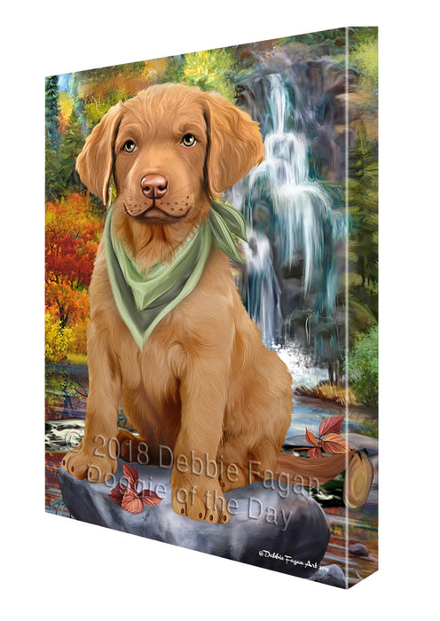 Scenic Waterfall Chesapeake Bay Retriever Dog Canvas Wall Art CVS63349