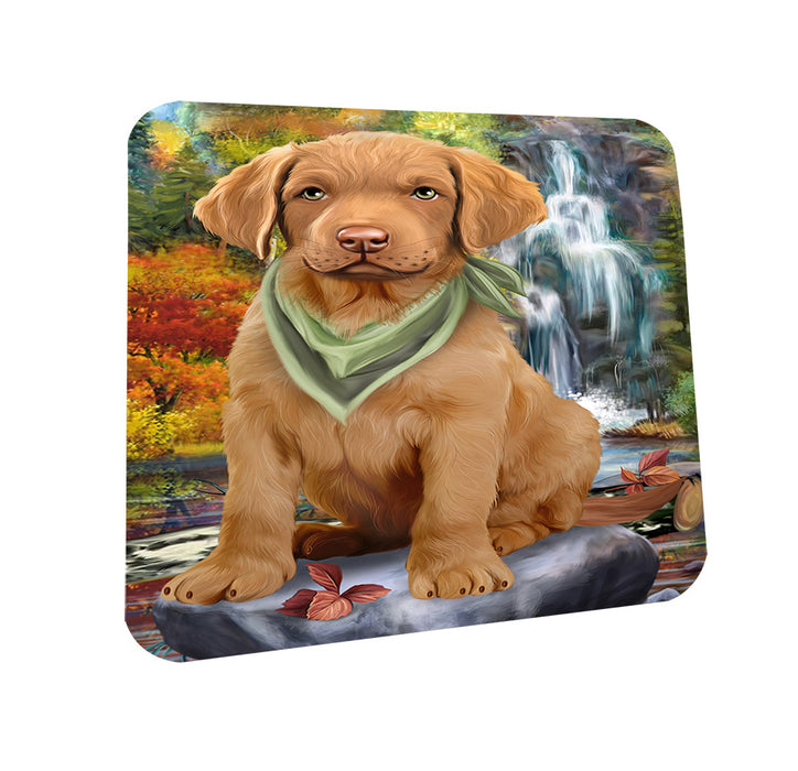 Scenic Waterfall Chesapeake Bay Retriever Dog Coasters Set of 4 CST49642