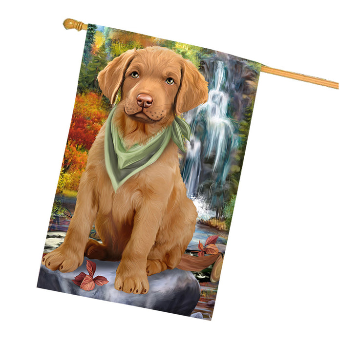 Scenic Waterfall Chesapeake Bay Retriever Dog House Flag FLG49698
