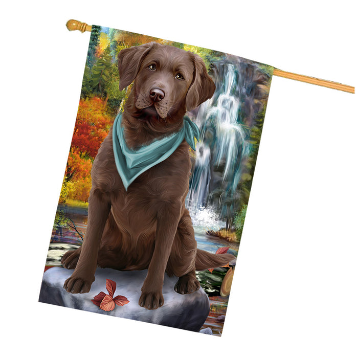 Scenic Waterfall Chesapeake Bay Retriever Dog House Flag FLG49699