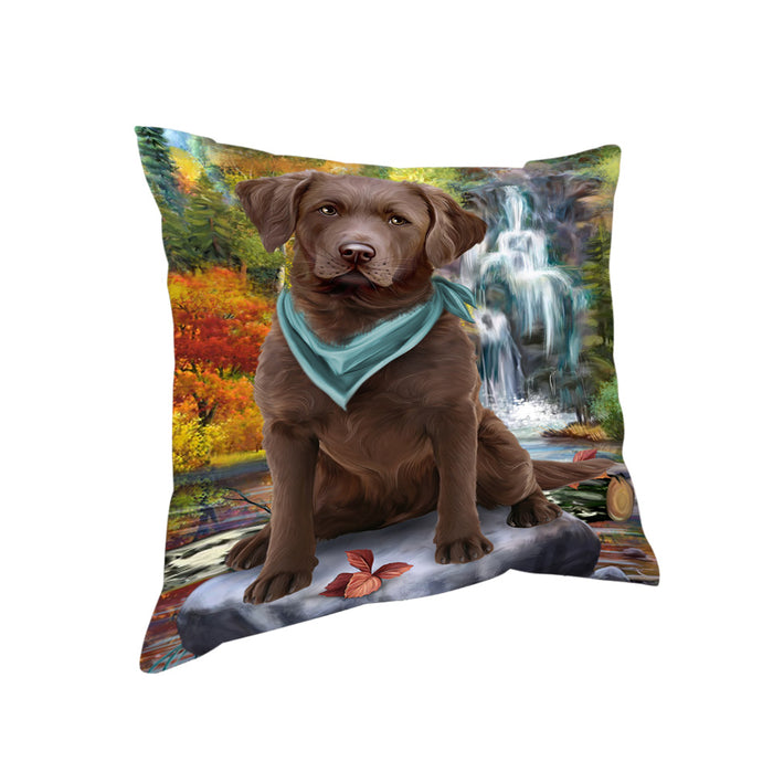 Scenic Waterfall Chesapeake Bay Retriever Dog Pillow PIL54792