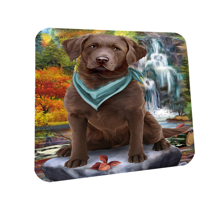 Scenic Waterfall Chesapeake Bay Retriever Dog Coasters Set of 4 CST49643