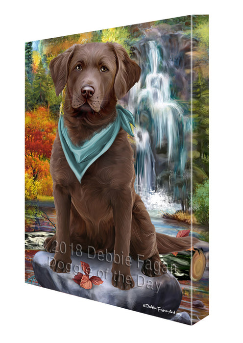 Scenic Waterfall Chesapeake Bay Retriever Dog Canvas Wall Art CVS63358