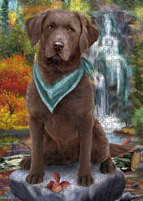 Scenic Waterfall Chesapeake Bay Retriever Dog Puzzle with Photo Tin PUZL52908