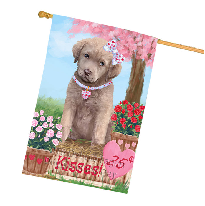 Rosie 25 Cent Kisses Chesapeake Bay Retriever Dog House Flag FLG57119