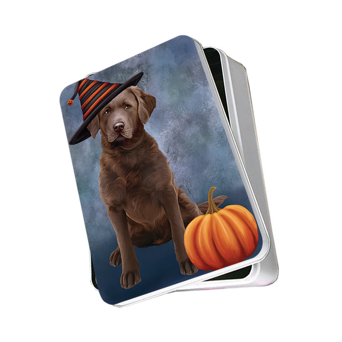 Happy Halloween Chesapeake Bay Retriever Dog Wearing Witch Hat with Pumpkin Photo Storage Tin PITN54866