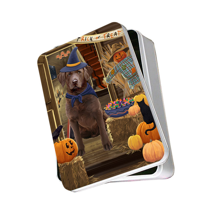 Enter at Own Risk Trick or Treat Halloween Chesapeake Bay Retriever Dog Photo Storage Tin PITN53074