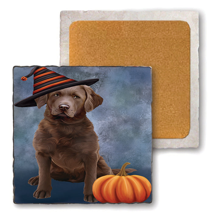 Happy Halloween Chesapeake Bay Retriever Dog Wearing Witch Hat with Pumpkin Set of 4 Natural Stone Marble Tile Coasters MCST49923