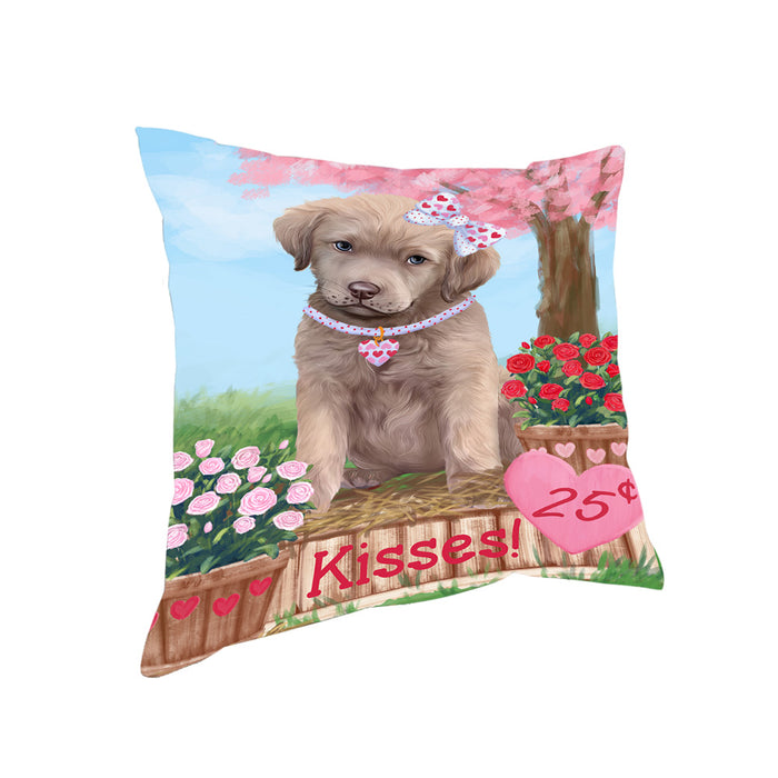 Rosie 25 Cent Kisses Chesapeake Bay Retriever Dog Pillow PIL80032