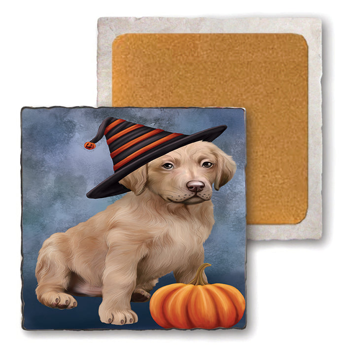 Happy Halloween Chesapeake Bay Retriever Dog Wearing Witch Hat with Pumpkin Set of 4 Natural Stone Marble Tile Coasters MCST49924
