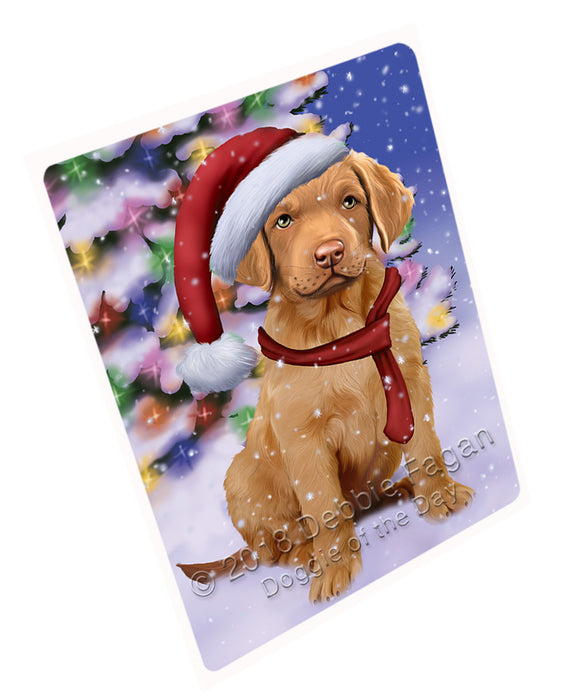 Winterland Wonderland Chesapeake Bay Retriever Dog In Christmas Holiday Scenic Background  Blanket BLNKT97752