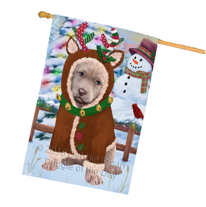 Christmas Gingerbread House Candyfest Chesapeake Bay Retriever Dog House Flag FLG56983