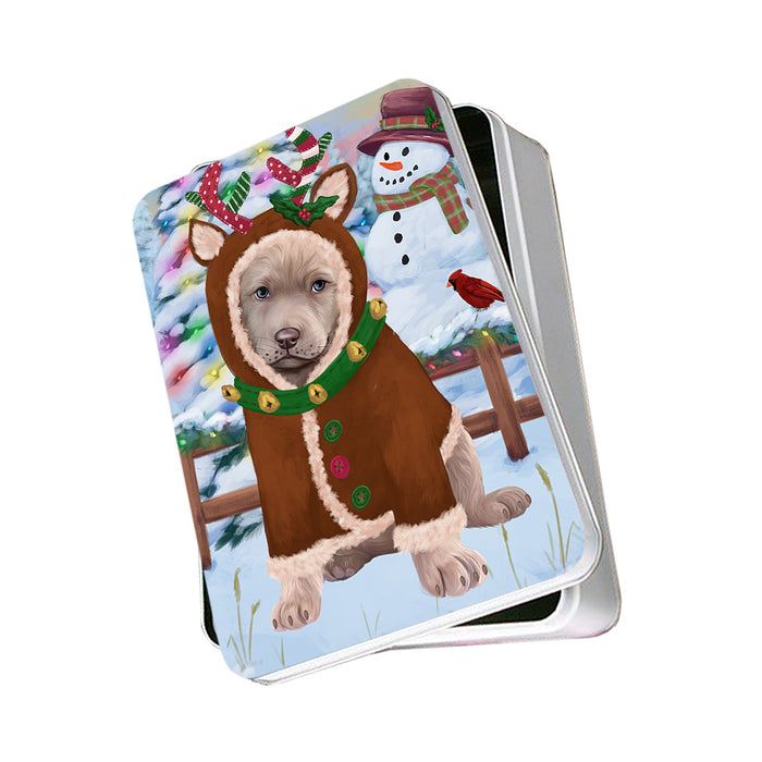 Christmas Gingerbread House Candyfest Chesapeake Bay Retriever Dog Photo Storage Tin PITN56242