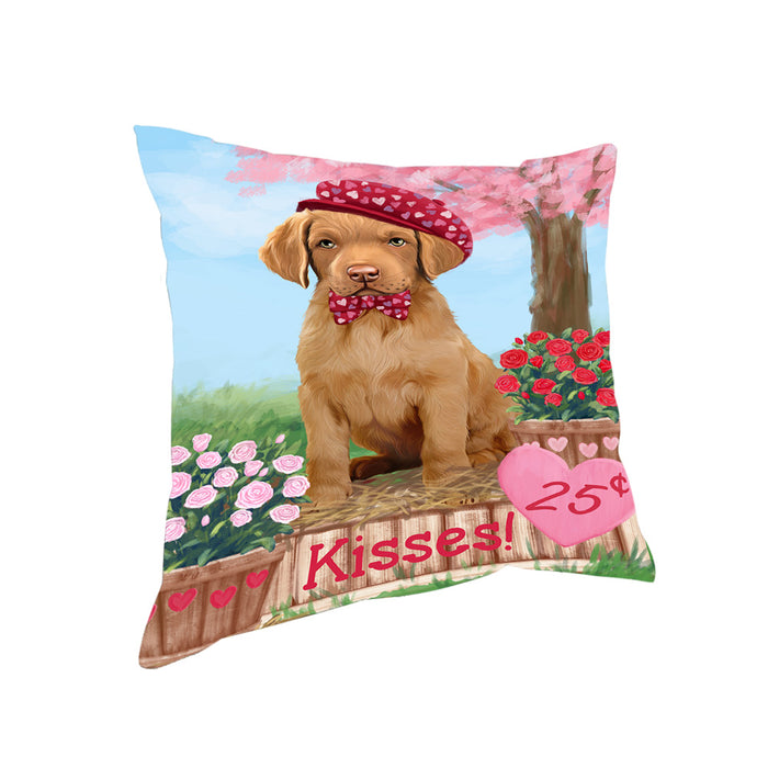 Rosie 25 Cent Kisses Chesapeake Bay Retriever Dog Pillow PIL80040