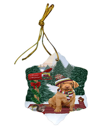 Merry Christmas Woodland Sled Chesapeake Bay Retriever Dog Star Porcelain Ornament SPOR55249