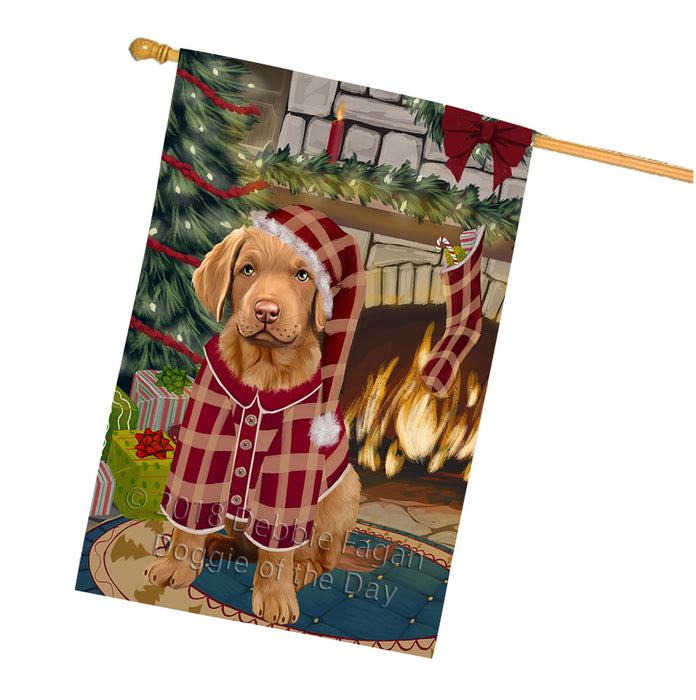 The Stocking was Hung Chesapeake Bay Retriever Dog House Flag FLG55699