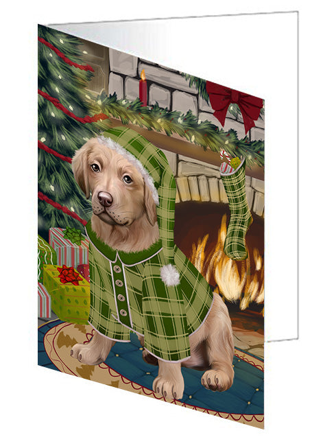 The Stocking was Hung Boxer Dog Handmade Artwork Assorted Pets Greeting Cards and Note Cards with Envelopes for All Occasions and Holiday Seasons GCD70235
