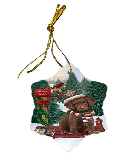 Merry Christmas Woodland Sled Chesapeake Bay Retriever Dog Star Porcelain Ornament SPOR55250
