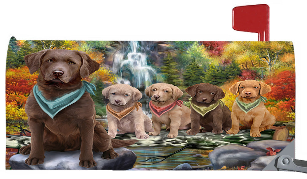 Scenic Waterfall Chesapeake Bay Retriever Dogs Magnetic Mailbox Cover MBC48719