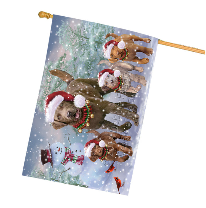 Christmas Running Family Chesapeake Bay Retriever Dogs House Flag FLG65153