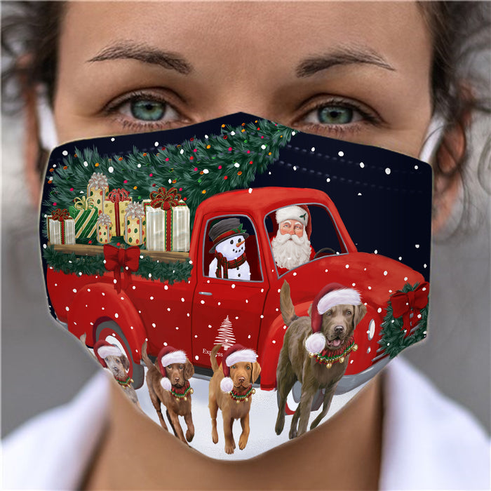 Christmas Express Delivery Red Truck Running Chesapeake Bay Retriever Dogs Face Mask FM49857