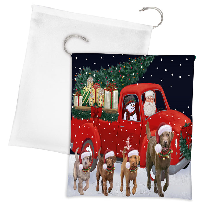 Christmas Express Delivery Red Truck Running Chesapeake Bay Retriever Dogs Drawstring Laundry or Gift Bag LGB48889