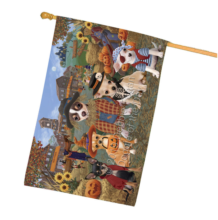 Halloween 'Round Town And Fall Pumpkin Scarecrow Both Chihuahua Dogs House Flag FLG65644