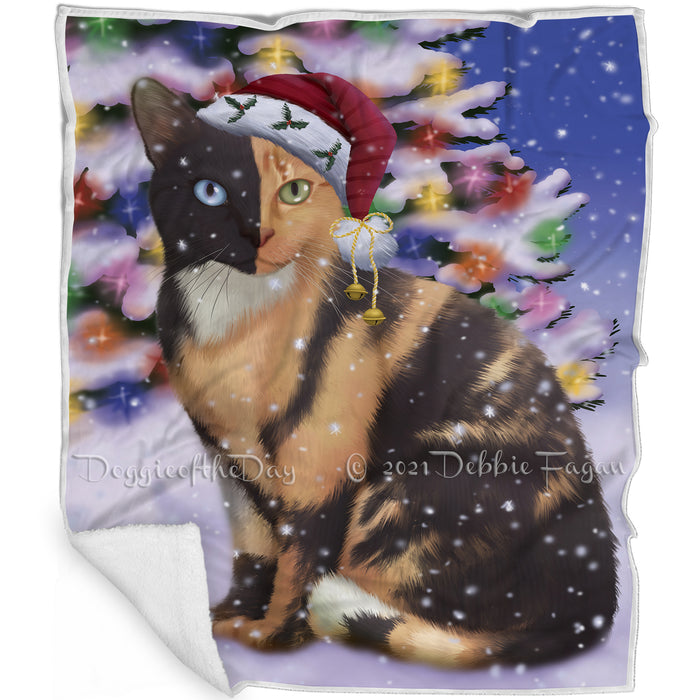Winterland Wonderland Chimera Cat In Christmas Holiday Scenic Background Blanket BLNKT120702