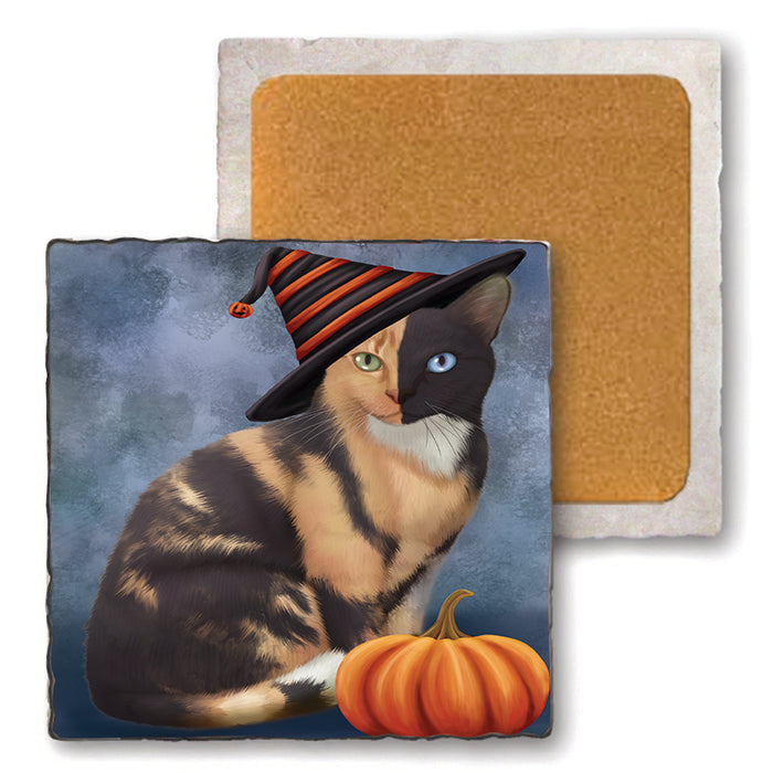 Happy Halloween Chimera Cat Wearing Witch Hat with Pumpkin Set of 4 Natural Stone Marble Tile Coasters MCST49885