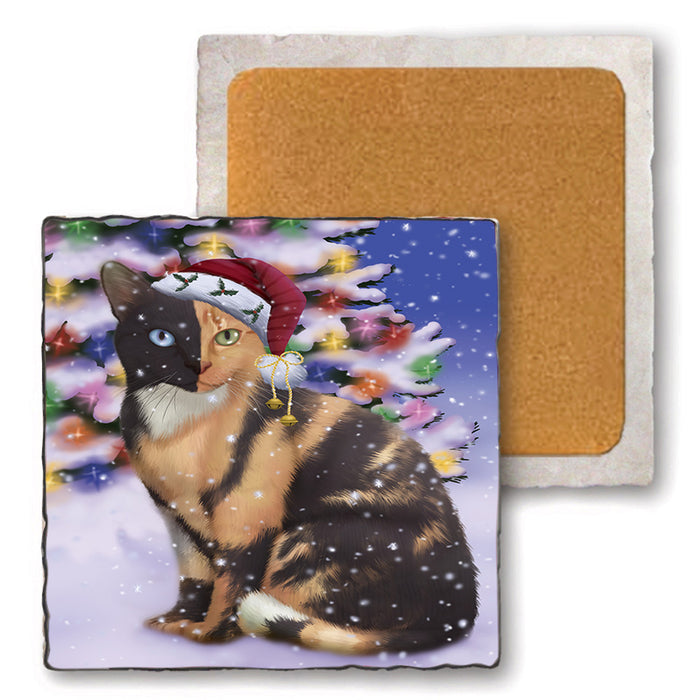 Winterland Wonderland Chimera Cat In Christmas Holiday Scenic Background Set of 4 Natural Stone Marble Tile Coasters MCST50698