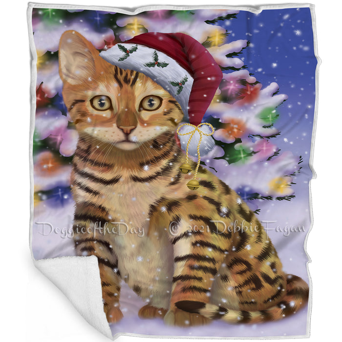 Winterland Wonderland Chinese Li Hua Cat In Christmas Holiday Scenic Background Blanket BLNKT120711