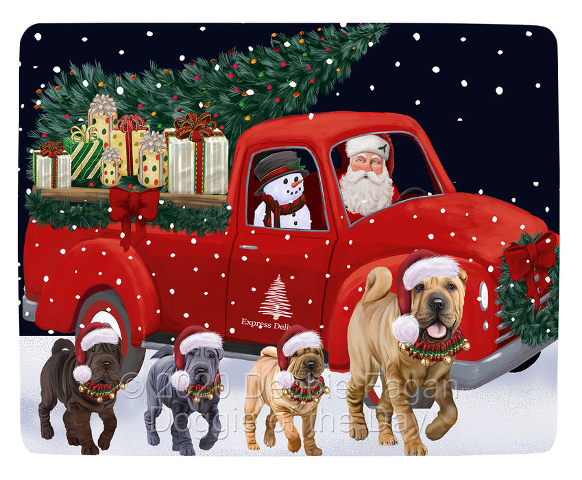 Christmas Express Delivery Red Truck Running Shar Pei Dogs Blanket BLNKT141768
