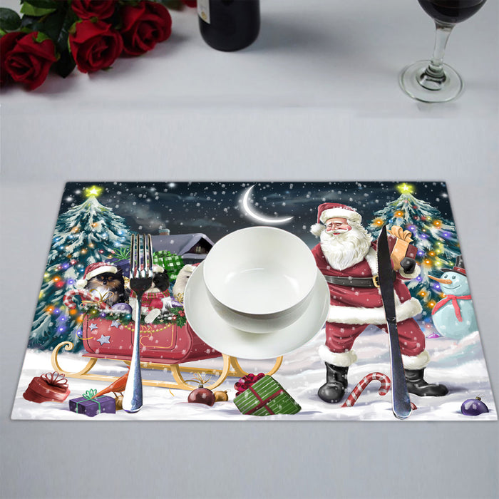 Santa Sled Dogs Christmas Happy Holidays Pomeranian Dogs Placemat