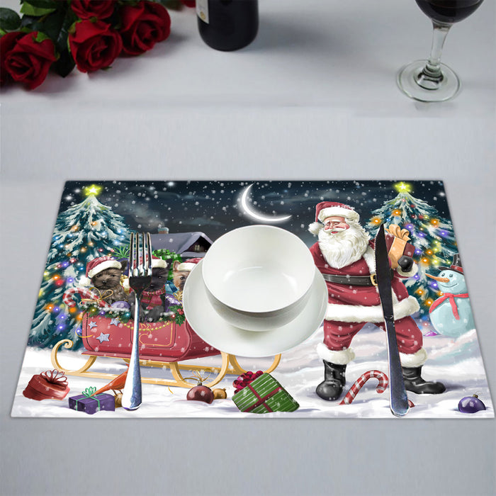 Santa Sled Dogs Christmas Happy Holidays Cairn Terrier Dogs Placemat