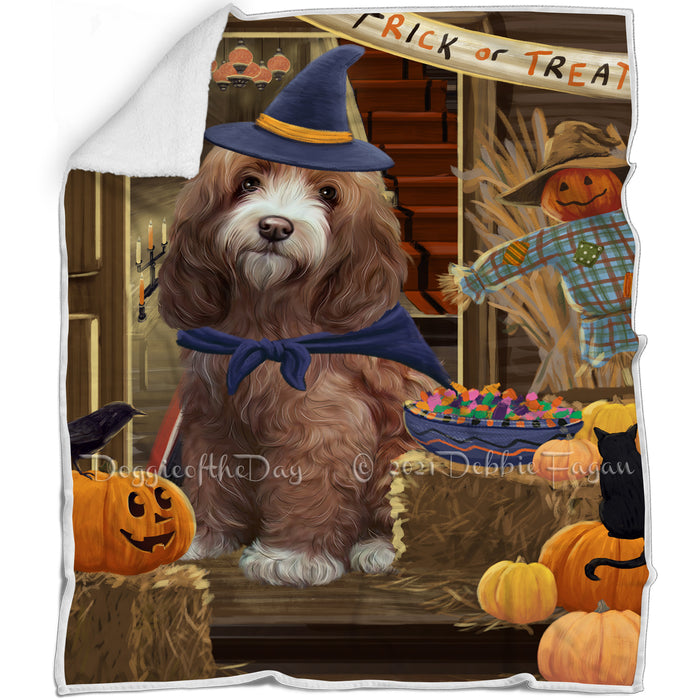 Enter at Own Risk Trick or Treat Halloween Cockapoo Dog Blanket BLNKT95142
