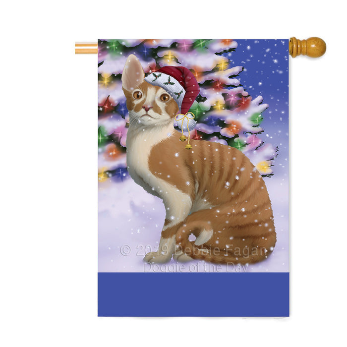 Personalized Winterland Wonderland Cornish Red Cat In Christmas Holiday Scenic Background Custom House Flag FLG-DOTD-A61358