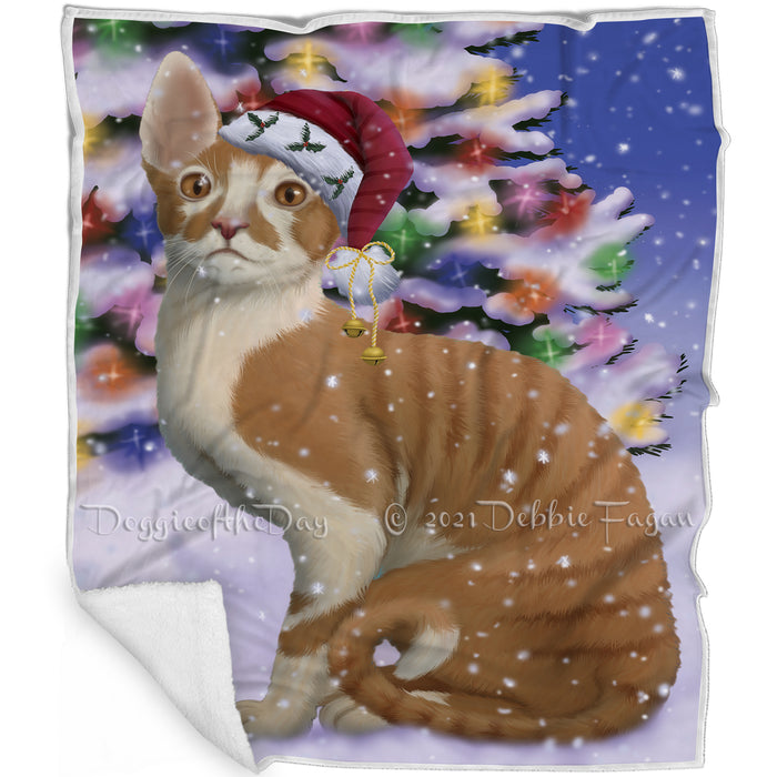 Winterland Wonderland Cornish Red Cat In Christmas Holiday Scenic Background Blanket BLNKT120738