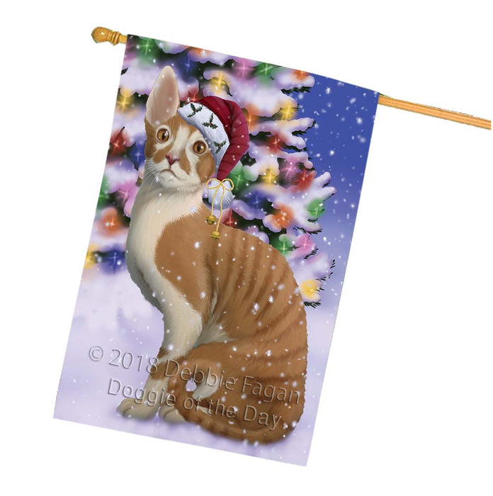 Winterland Wonderland Cornish Red Cat In Christmas Holiday Scenic Background House Flag FLG56131