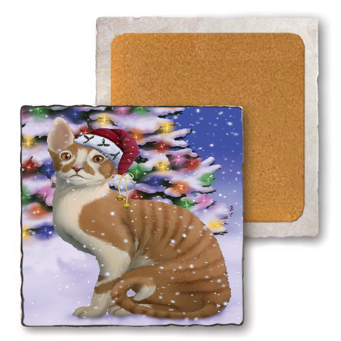 Winterland Wonderland Cornish Red Cat In Christmas Holiday Scenic Background Set of 4 Natural Stone Marble Tile Coasters MCST50702