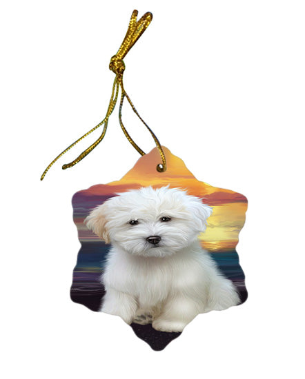 Sunset Coton De Tulear Dog Star Porcelain Ornament SPOR58018
