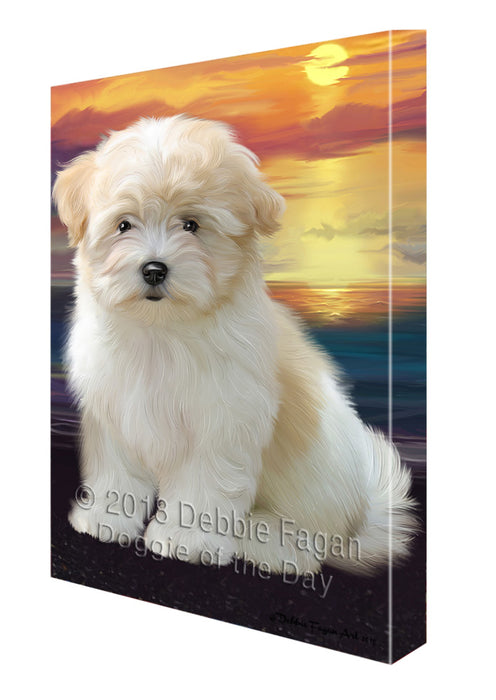 Sunset Coton De Tulear Dog Canvas Print Wall Art Décor CVS136754
