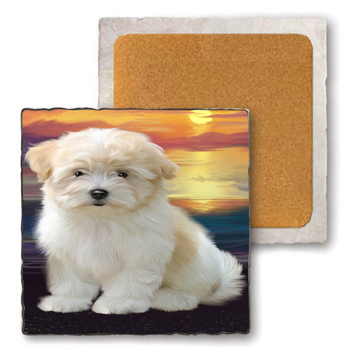 Sunset Coton De Tulear Dog Set of 4 Natural Stone Marble Tile Coasters MCST52146