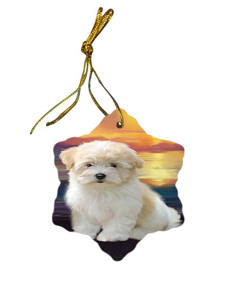 Sunset Coton De Tulear Dog Star Porcelain Ornament SPOR58020