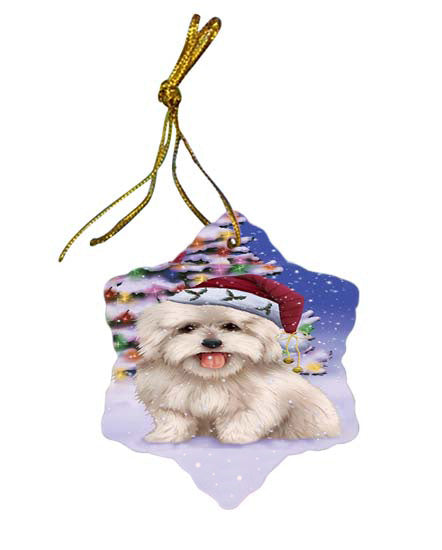 Winterland Wonderland Coton De Tulear Dog In Christmas Holiday Scenic Background Star Porcelain Ornament SPOR56059