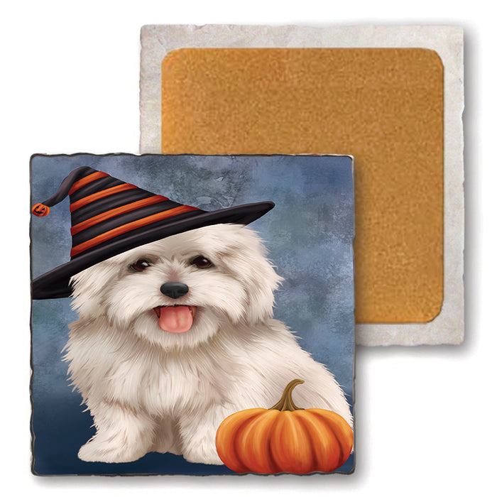 Happy Halloween Coton De Tulear Dog Wearing Witch Hat with Pumpkin Set of 4 Natural Stone Marble Tile Coasters MCST49896
