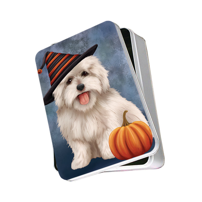 Happy Halloween Coton De Tulear Dog Wearing Witch Hat with Pumpkin Photo Storage Tin PITN54839