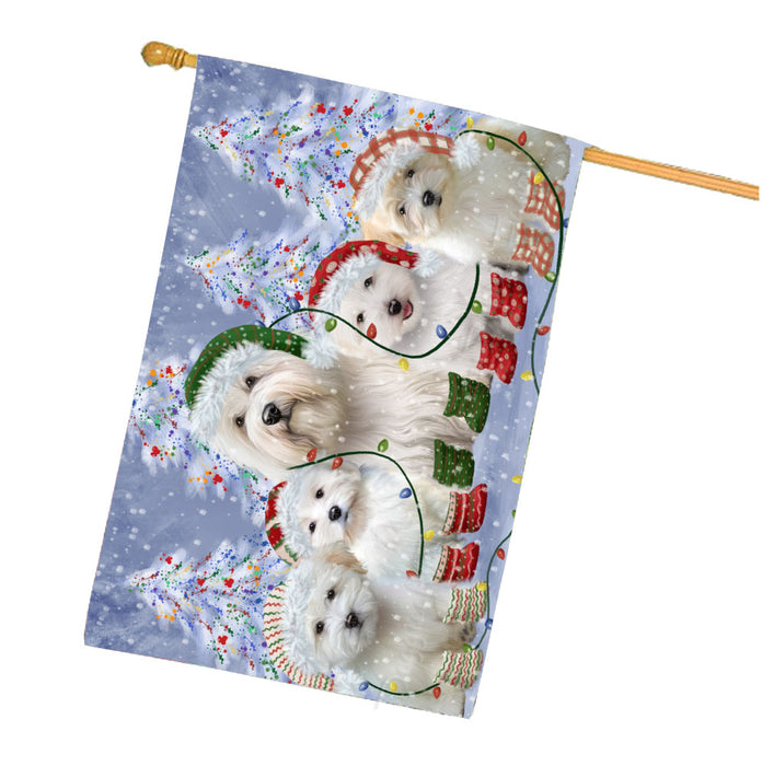 Christmas Lights and Coton De Tulear Dogs House Flag Outdoor Decorative Double Sided Pet Portrait Weather Resistant Premium Quality Animal Printed Home Decorative Flags 100% Polyester