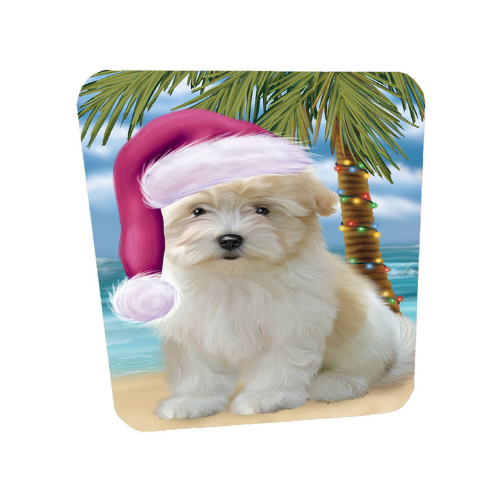Christmas Summertime Island Tropical Beach Coton De Tulear Dog Coasters Set of 4 CSTA58414
