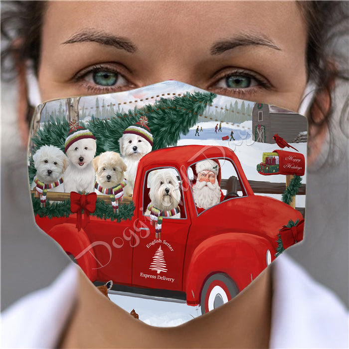 Christmas Santa Express Delivery Red Truck Coton De Tulear Dogs Face Mask FM48434